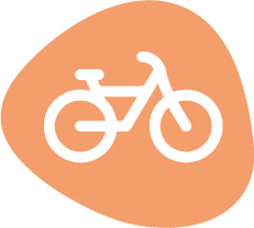 fietsen-in-de-veluwe