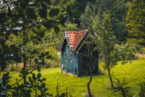 tinyhouse-forest