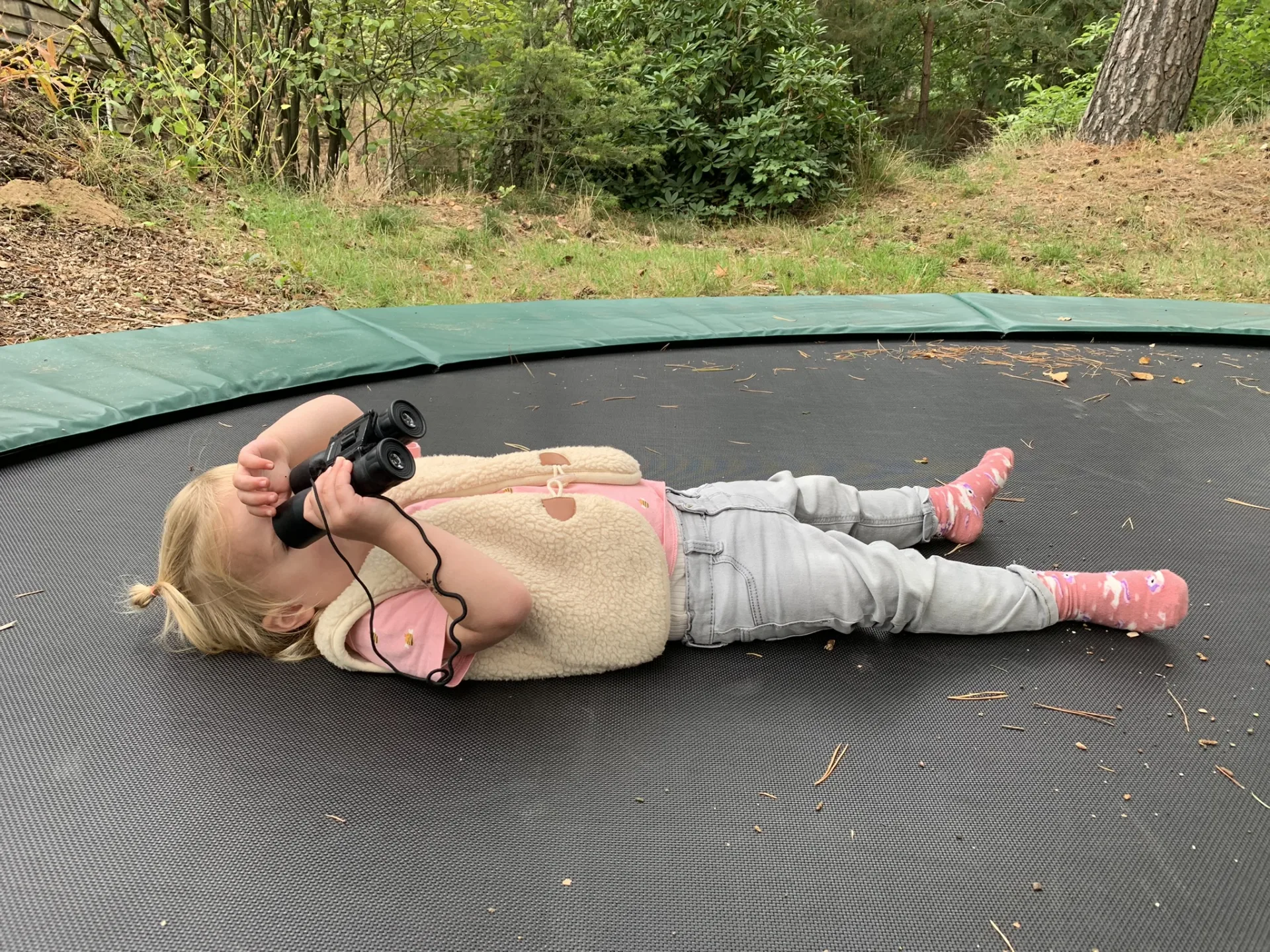 workation-veluwe-worcation