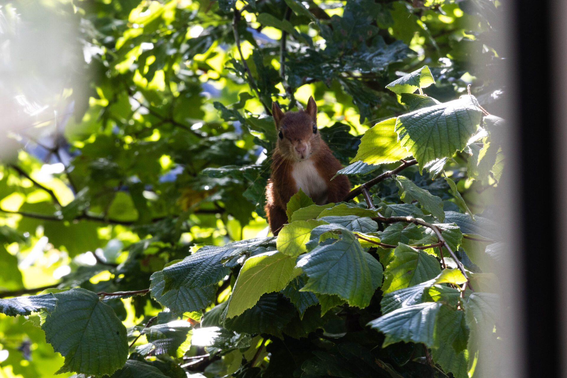 slaapkamer-boven-voorzijde